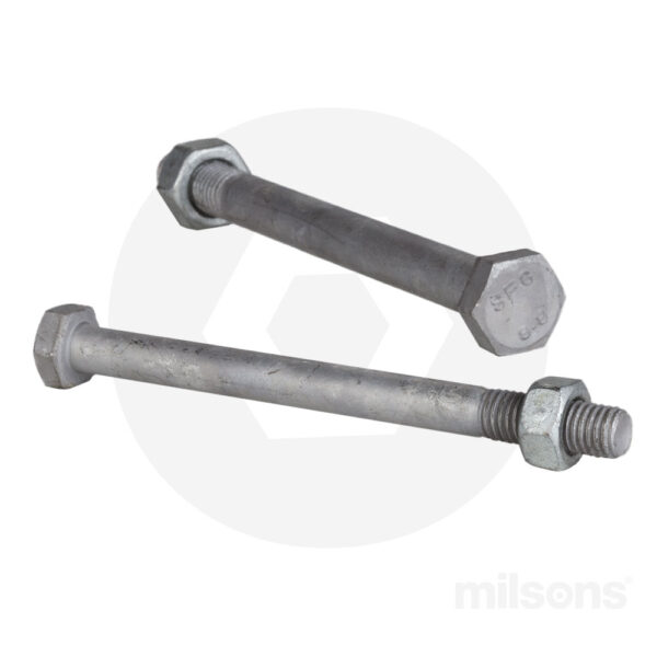 Hex-Bolt-and-Nut-BN8810X120G