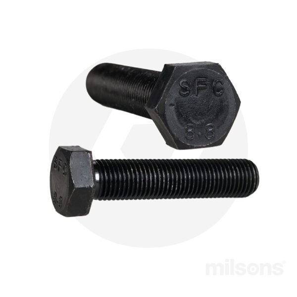 Set Screw Black SS8822x100