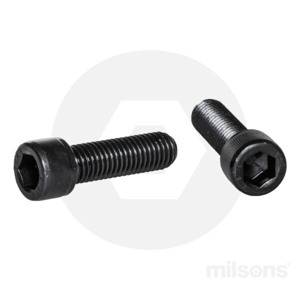 SOCKET HEAD CAP SCREW M10x60