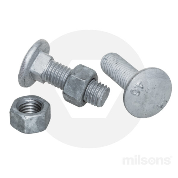 COACH BOLT/NUT MILD STEEL M12x50 GALV