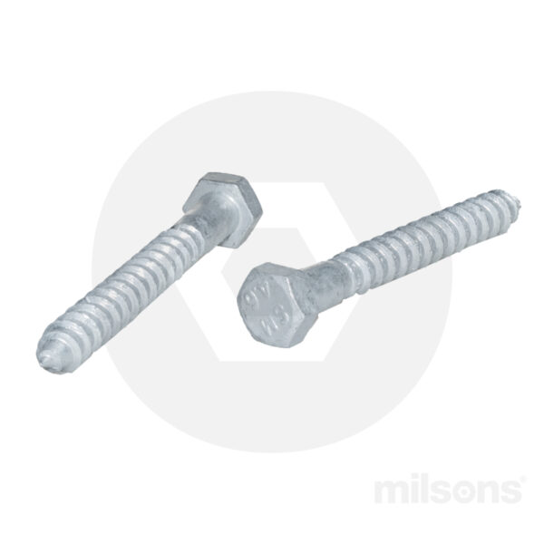 COACH SCREW M12x300 GALV