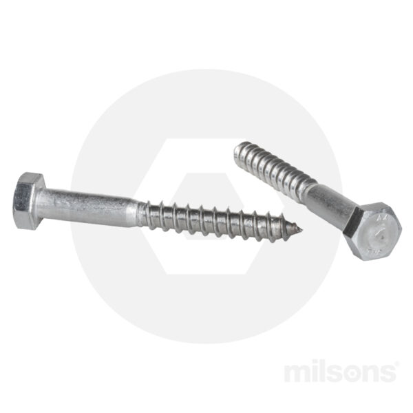 COACH SCREW SS316 M10x180