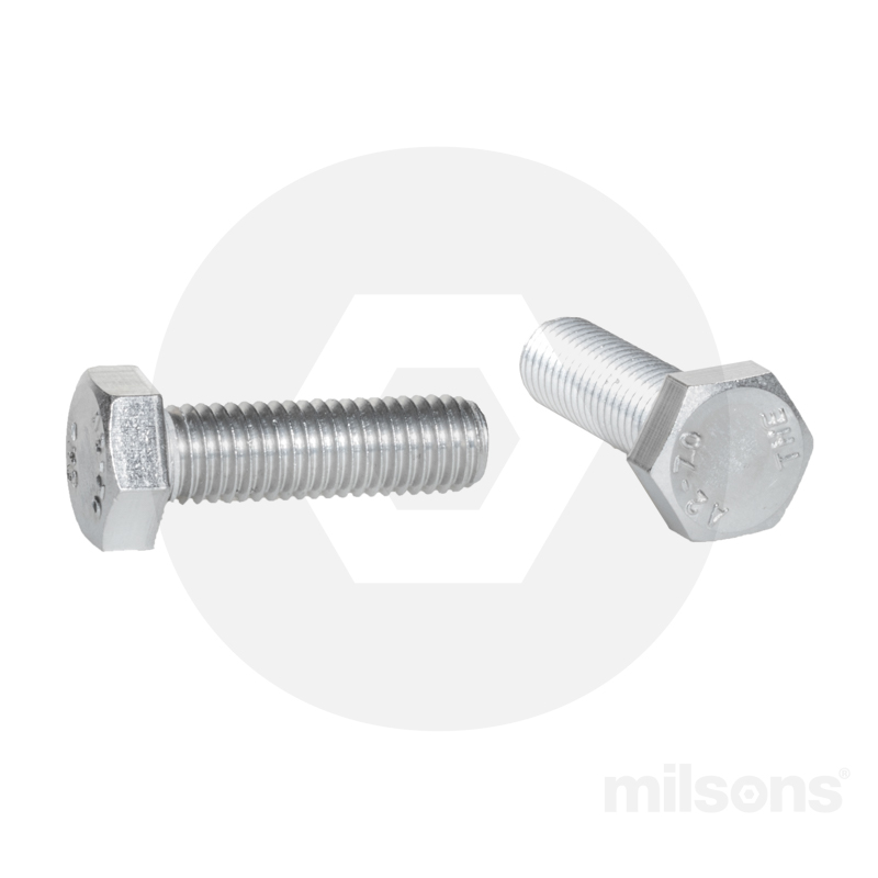 SET SCREW SS304 M8x12