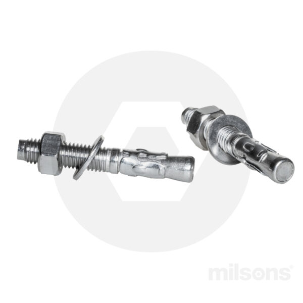 WEDGE ANCHOR SS316 M12x180