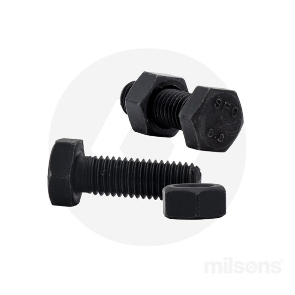 Black Hex Bolt and Nut