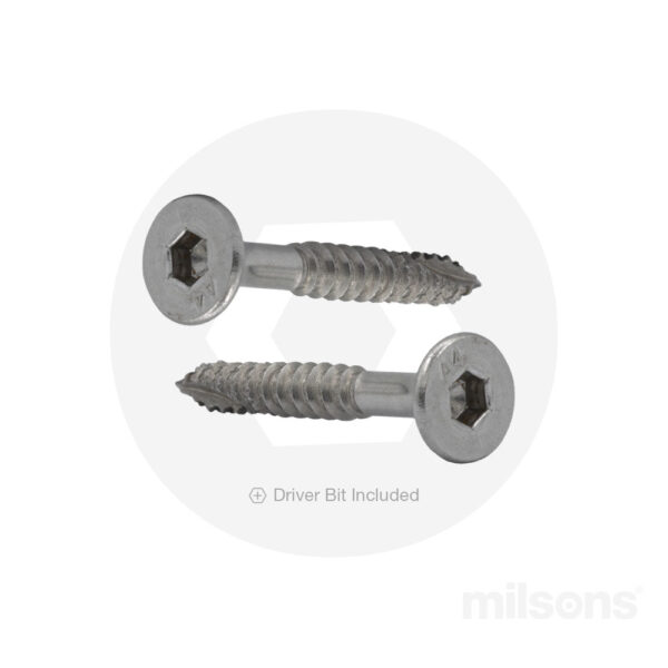 Bugle Batten Screw T316