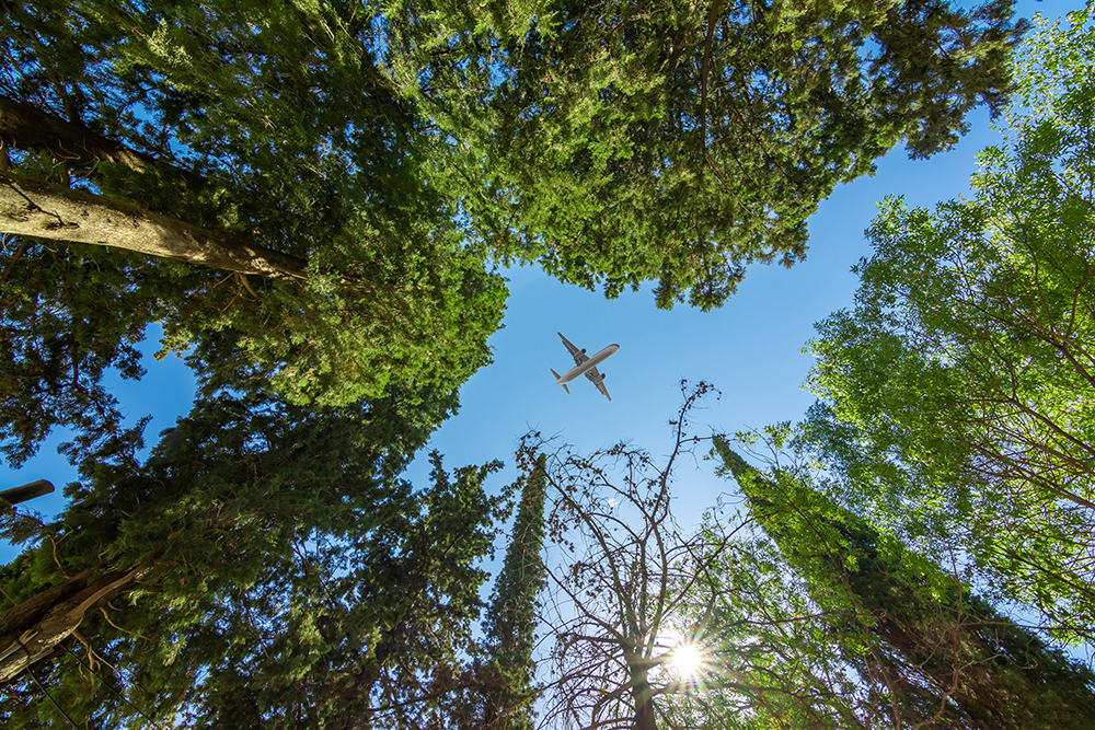Airplane flying above the forest, bottom view. Credit yalcinsonat1