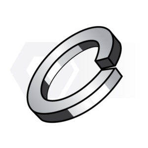 Spring Washer